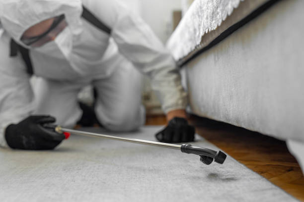 Professional Cockroach Control technician working in Long View, NC