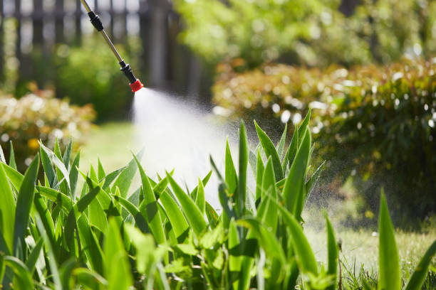 24/7 Emergency Cockroach Control experts in Long View, NC
