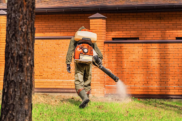 Top rated local Cockroach Control specialists in Long View, NC